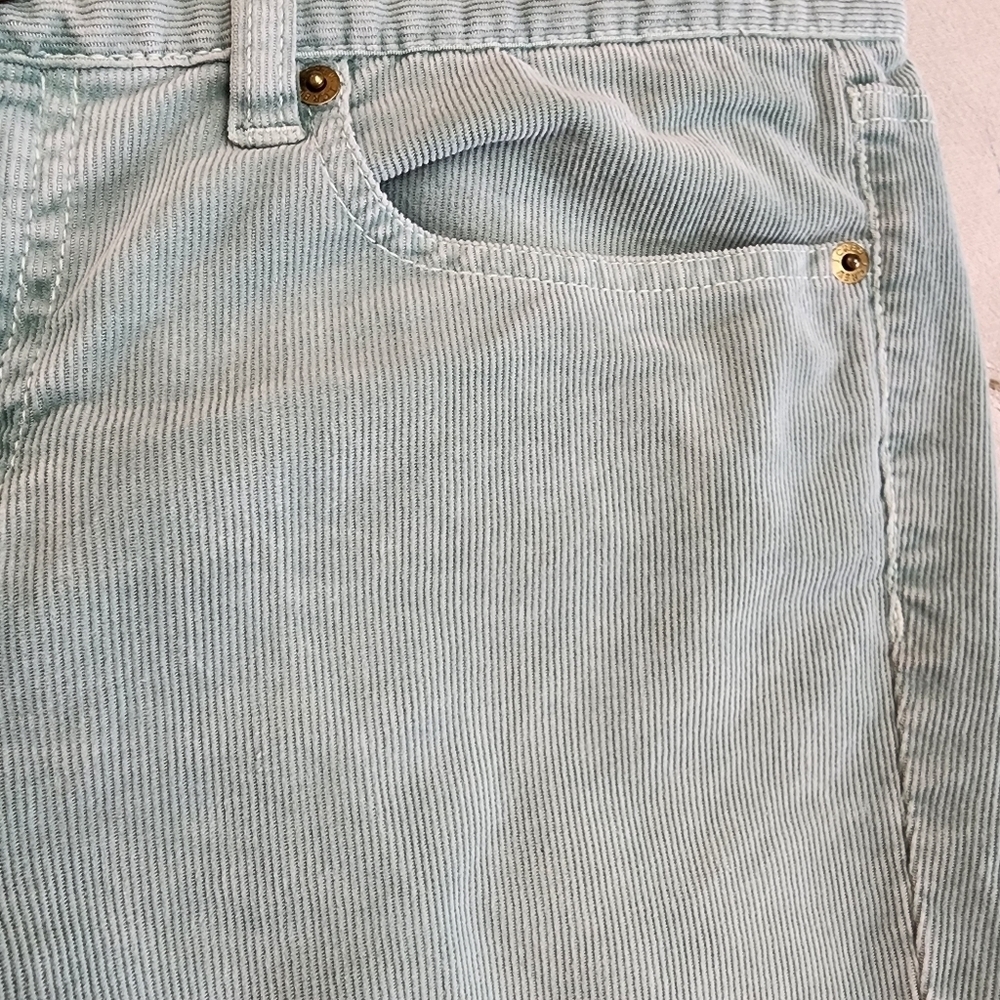 J crew size 31 toothpick pants super skinny stretch cord sage green corduory - Picture 4 of 8